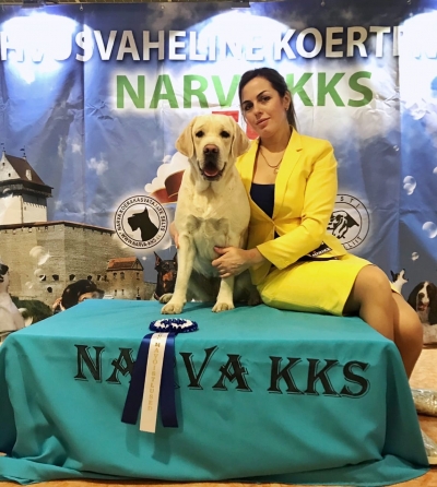 24.11.2019 - National Narva Dog Show