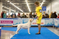 23-24.02.19 International Dog Show “Eurasia” judge: Karl-Erik JOHANSSON & LAURENT PICHARD