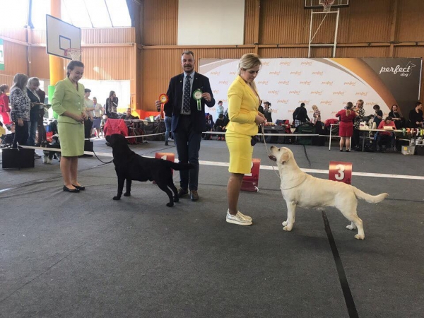 20.04.2019 RIGA, NATIONAL DOG SHOW «RETO WINNER 2019»