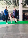 21.10.2018 St. Petersburg , NATIONAL DOG SHOW