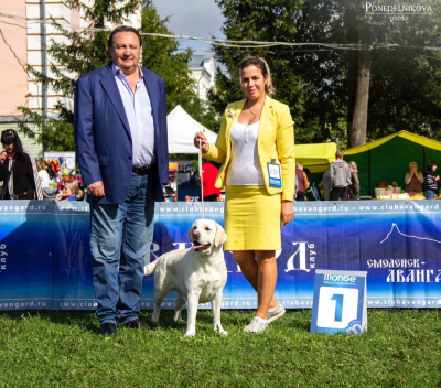 Международная выставка собак « Смоленская крепость»