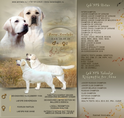 Labrador puppies d.o.b. 09/26/20, booking open