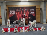 Национальная выставка собак «Liepaja Dog Show”