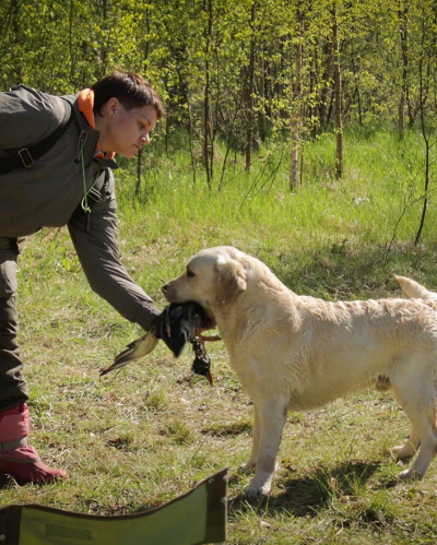 Lab’SPb Hunting Season. Рабочие испытания